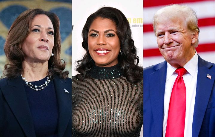 Former Trump White House official, Omarosa Manigault Newman just endorsed Kamala Harris for President.