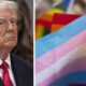 Donald Trump bans the L*G*B*T*Q Community, says it will be life in prison if caught in the act, insists everyone must identify strictly as male or female.